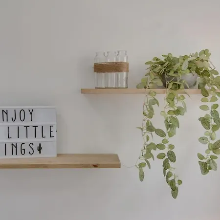 Palm House Sauna Center Ideal Insead アパート